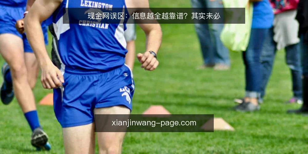 现金网误区:信息越全越靠谱?其实未必 — 信号观察:什么值得警惕 配图