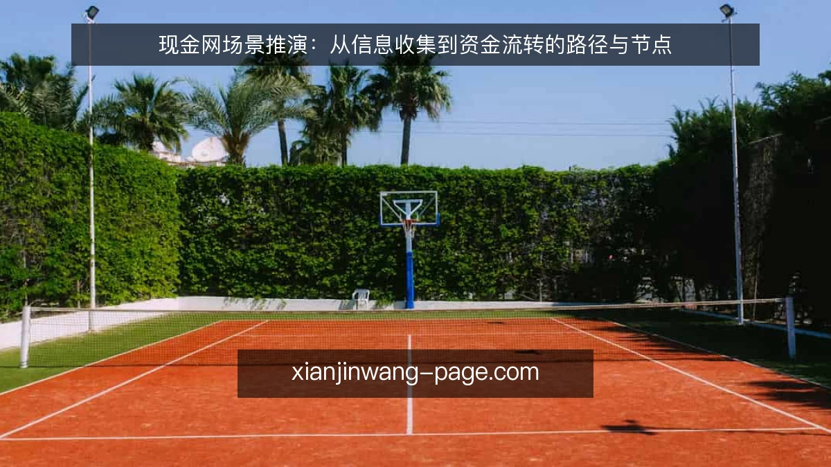 现金网场景推演：从信息收集到资金流转的路径与节点