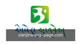 现金网