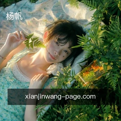 杨帆